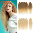 FASHION IDOL Afro Kinky Curly Hair Bundles 5pcs/pack 24 inch Ombre Blonde Nature Black Color Synthetic Hair Weave Bundles Fiber