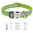 Nylon Dog Collar Personalized Pet Collar Engraved ID Tag Nameplate Reflective for Small Medium Large Dogs Pitbull Pug